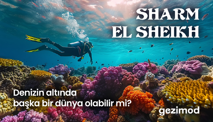 RÜYA GİBİ BİR TATİL