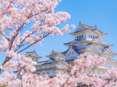 Comfort Japonya Turu Etihad Hava Yolları ile 6 gece Ekstra Turlar ve Çay Seremonisi Dahil