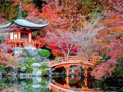 ELEGANT JAPONYA All Nippon Hava Yolları ile 6 Gece (HND-HND) - Ekstra Turlar Dahil