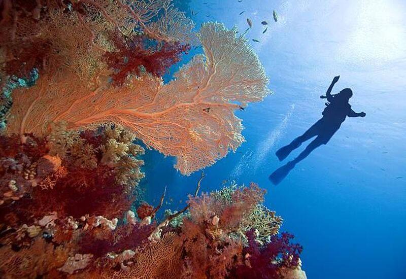 Adana Çıkışlı İskenderiye - Kahire ve Sharm El Sheikh - Pegasus Havayolları İle 7 Gece 9 Gün