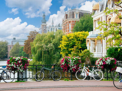 Comfort Benelüx & Paris & Alsace & İsviçre Turu Türk Hava Yolları ile 7 Gece Ekstra Turlar Dahil AMS-BSL