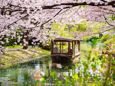 ELEGANT JAPONYA & GÜNEY KORE Türk Hava Yolları ile 9 Gece (ICN-NRT)