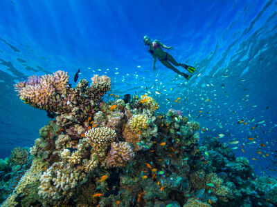 Baştan Başa Mısır Turu Pegasus Hava Yolları İle 7 Gece 9 Gün - Hurghada ve Sharm’da Her Şey Dahil Konaklama