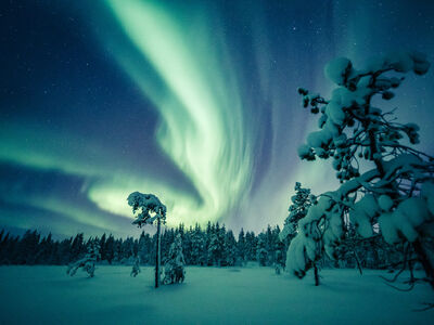 BÜYÜLEYİCİ KUZEY IŞIKLARI & LAPLAND TURU THY ile 3 Gece 4 Gün -  TURLAR DAHİL