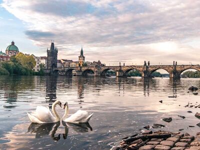 OTOBÜSLÜ BAŞTANBAŞA ORTA AVRUPA TURU 6 GECE 8 GÜN EKSTRA  TURLAR DAHİL