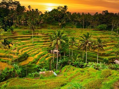BALİ ve PHUKET ile FENOMEN UZAKDOĞU TURU - THY- Sömestre Özel - SINBKK
