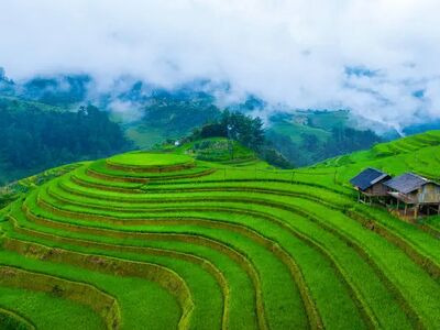 Vietnam Kamboçya Laos Turu Türk Havayolları ile 11 Gece 13 Gün - 2026 