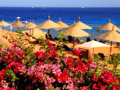 ADANA’DAN SHARM & KAHİRE TURU Air Cairo Havayolları Özel Seferi ile 4 gece 