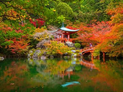 ELEGANT JAPONYA & GÜNEY KORE 9 Gece 12 Gün - Ekstra Turlar Dahil 