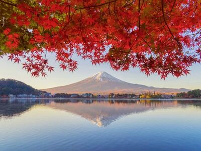 Comfort Japonya Turu Türk Hava Yolları ile 6 gece Ekstra Turlar Dahil ve Çay Seremonisi Dahil NRT-KIX 2026