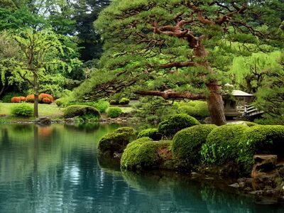 Comfort Japonya Turu Türk Hava Yolları ile 6 gece Ekstra Turlar Dahil ve Çay Seremonisi Dahil NRT-KIX 2026