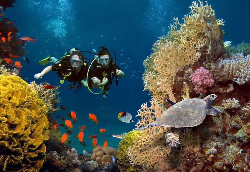 Baştan Başa Mısır Turu Pegasus Hava Yolları İle 8 Gece 9 Gün