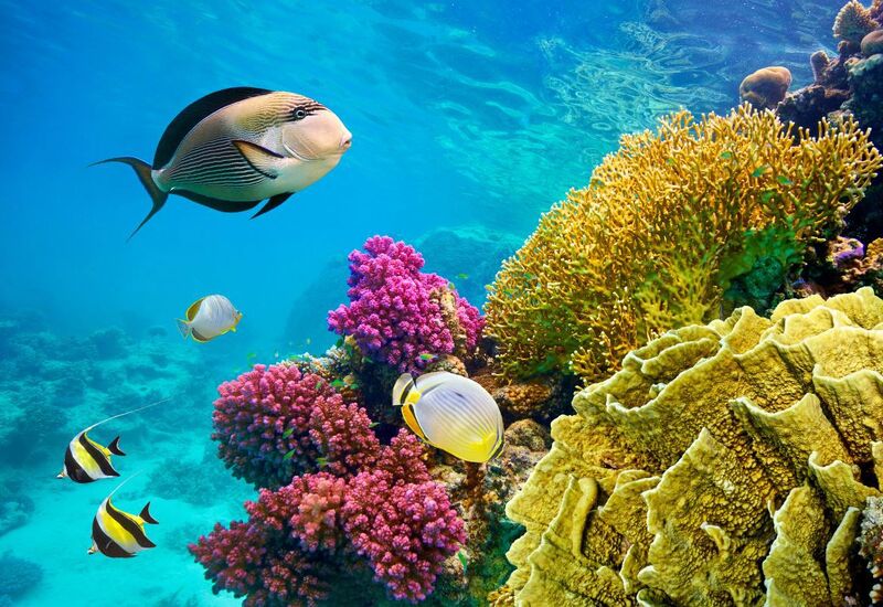 Sharm - Kahire Turu Ajet Havayolları ile 5 Gece 7 Gün Süper Promo