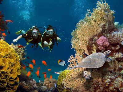 Kahire Sharm El Sheikh Turu Ajet Havayolları ile 5 Gece Kahire Şehir Gezisi Dahil