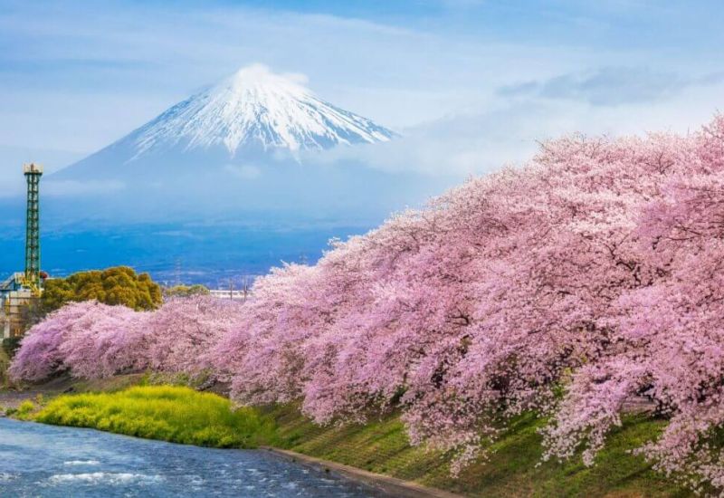 THY ile Grand Japonya Kore Turu 7 Gece 9 Gün - Tüm Turlar Dahil