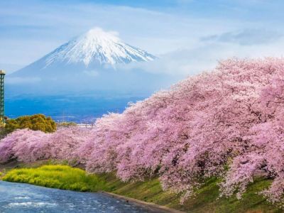 THY ile Grand Japonya Kore Turu 7 Gece 9 Gün - Tüm Turlar Dahil