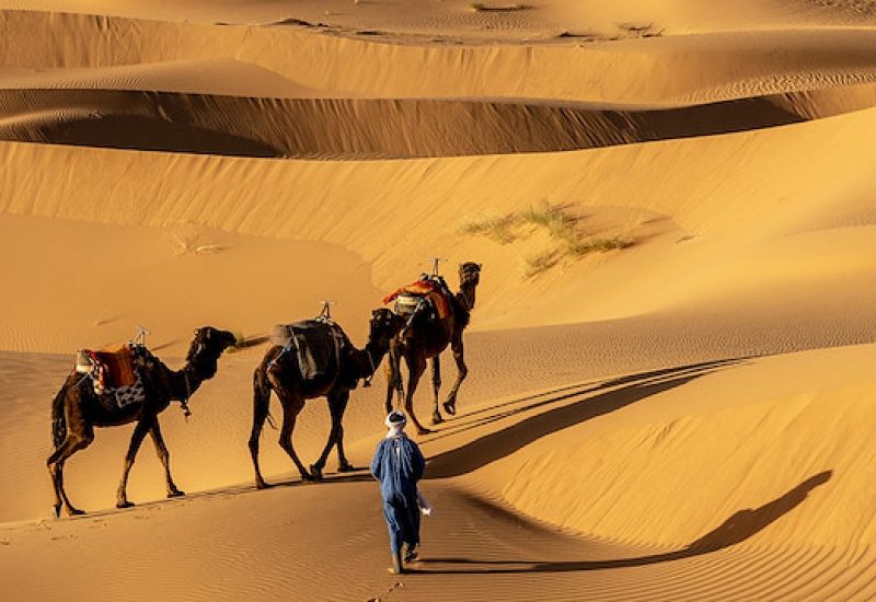 ELEGANT SAHRA ÇÖLÜ & TUNUS HAZİNELERİ Türk Hava Yolları ile 5 Gece (TUN-TUN)