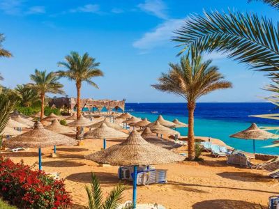 SHARM – (İSKENDERİYE) – KAHİRE TURU Pegasus Hava Yolları İle 4 Gece 6 Gün