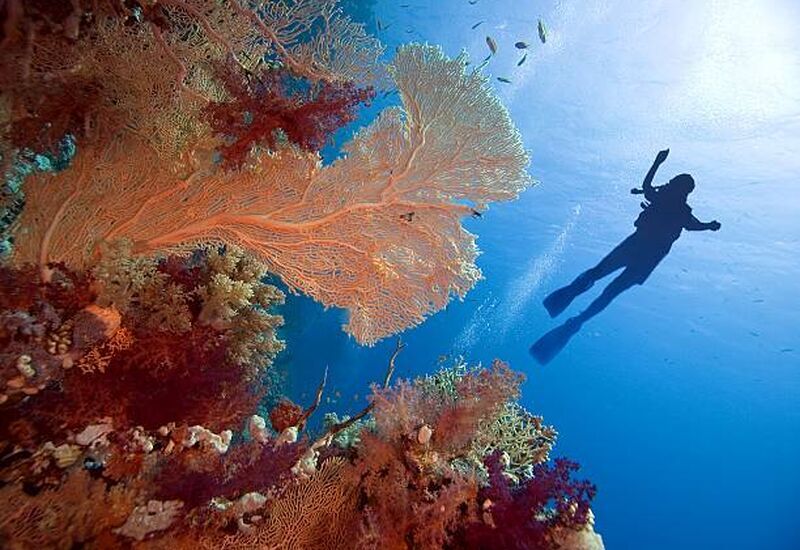 Sharm El Sheikh Turu Türk Havayolları ile 3 Gece Her Şey Dahil Oteller (5* Rixos Premium Seagate vb. (Ultra Her Şey Dahil Konsept))