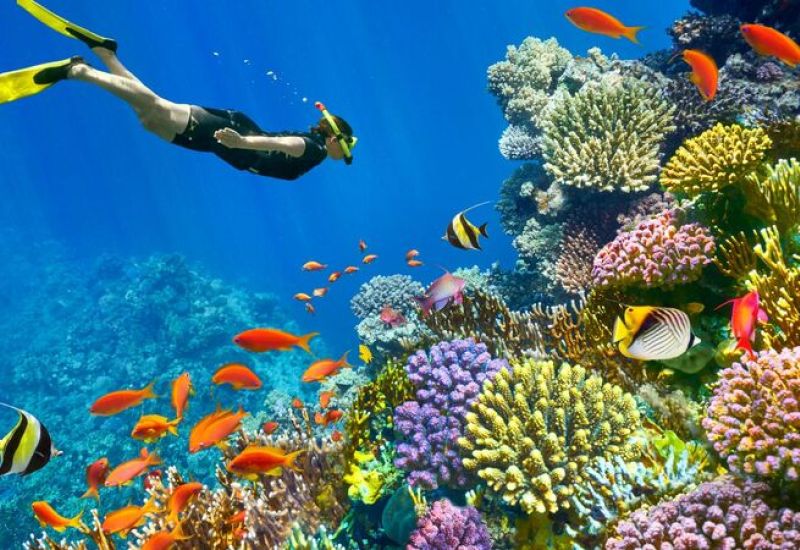 İzmir Hareketli Sharm ve Kahire – Kişi Başı 345 USD’lik Ekstra Tur Dahil - Sharm’da Her Şey Dahil Konaklama - 6 Gece/ 9 Gün