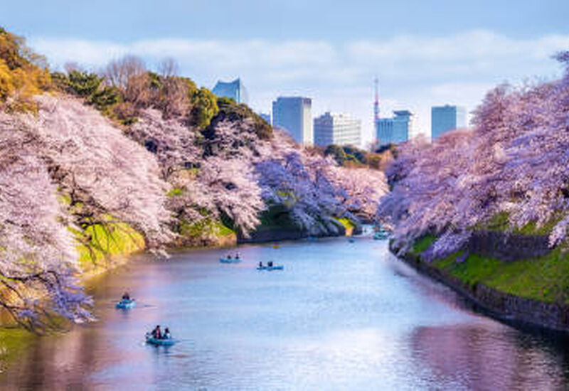 ELEGANT JAPONYA Türk Hava Yolları ile 7 Gece (KIX-NRT) 2026 EKSTRA TURLAR DAHİL